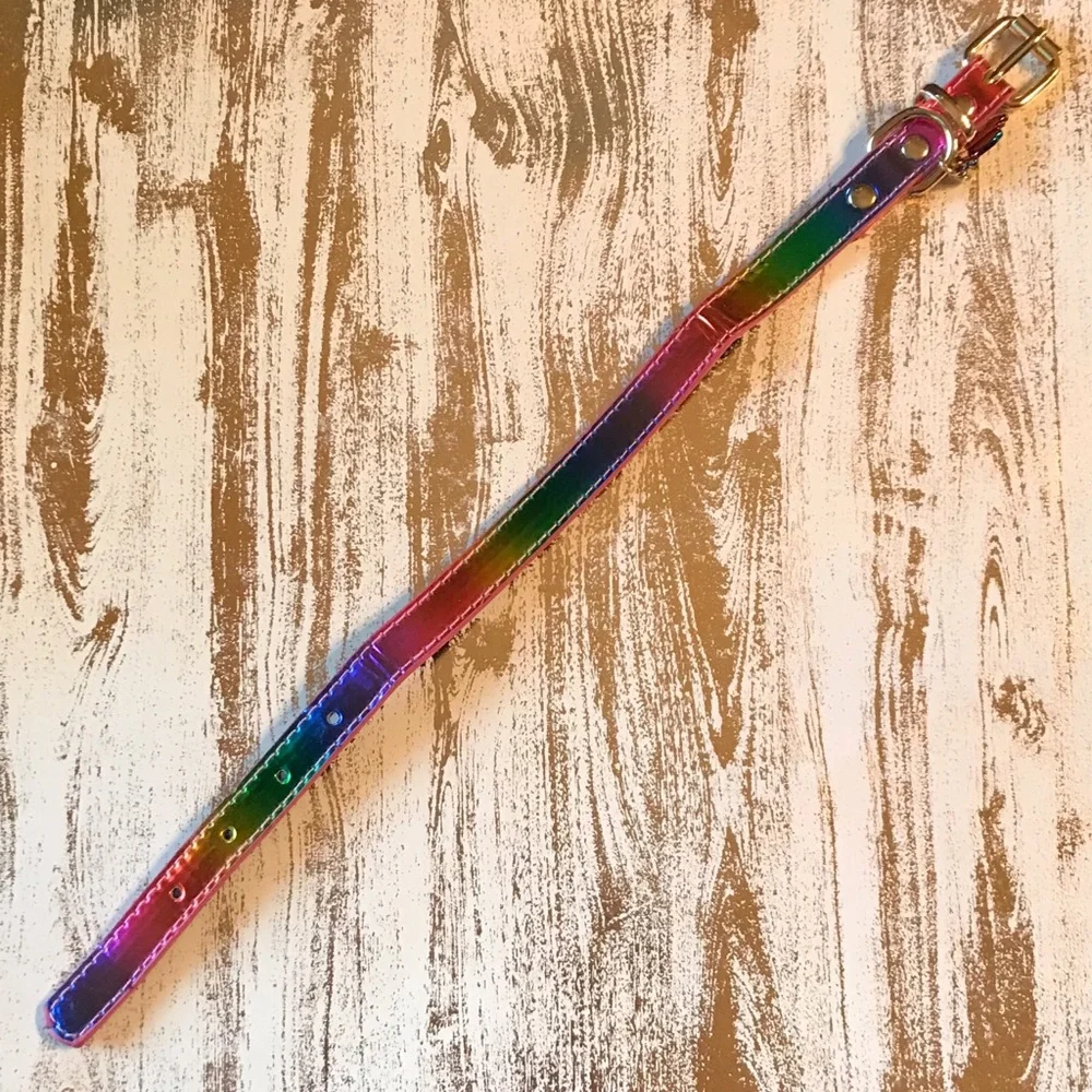Betsey Johnson XOX Trolls Rainbow Dog Collar